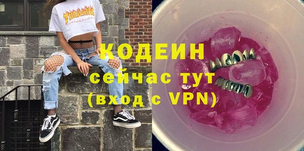 гашик Инта