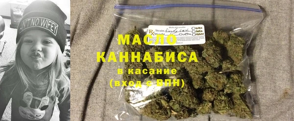 гашик Инта
