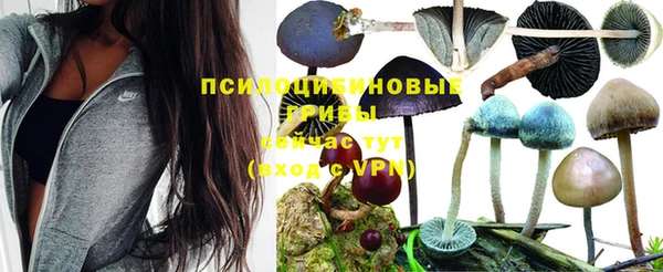 гашик Инта