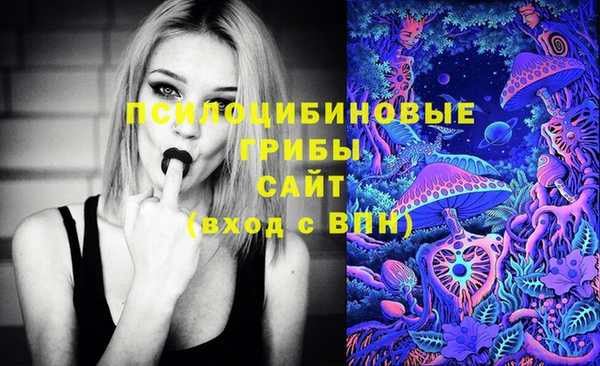 гашик Инта