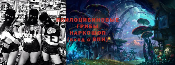 гашик Инта