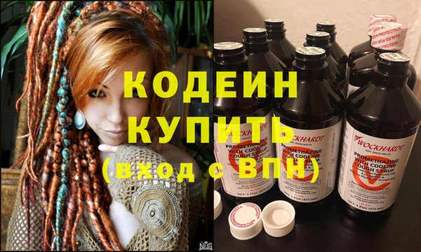 гашик Инта