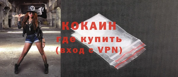 гашик Инта