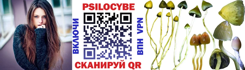 Купить  Шебекино  Псилоцибиновые грибы MAGIC MUSHROOMS 